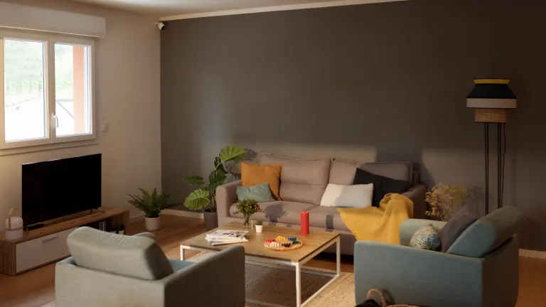 appartement espace de vie