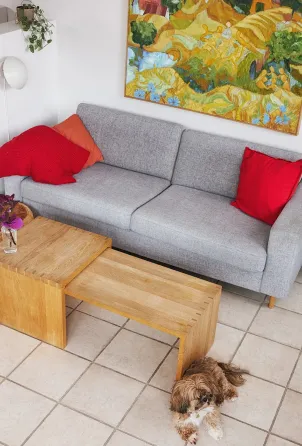 appartement espace de vie